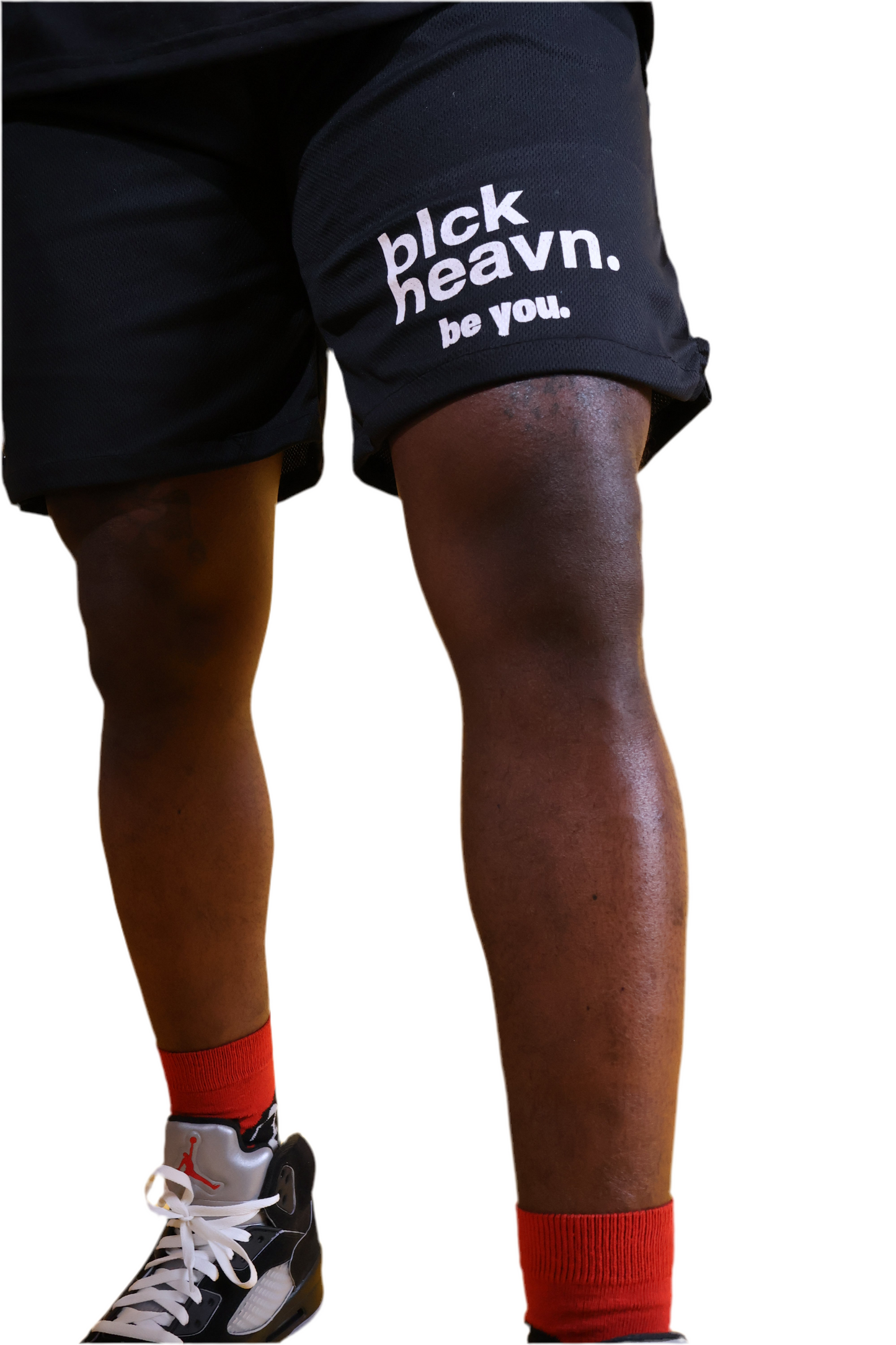 bh 501 (mesh shorts)