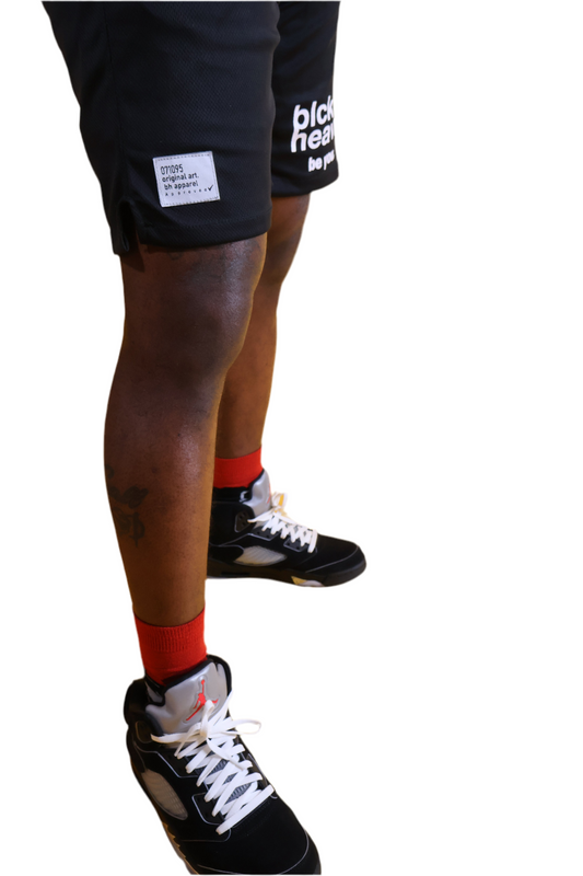 bh 501 (mesh shorts)